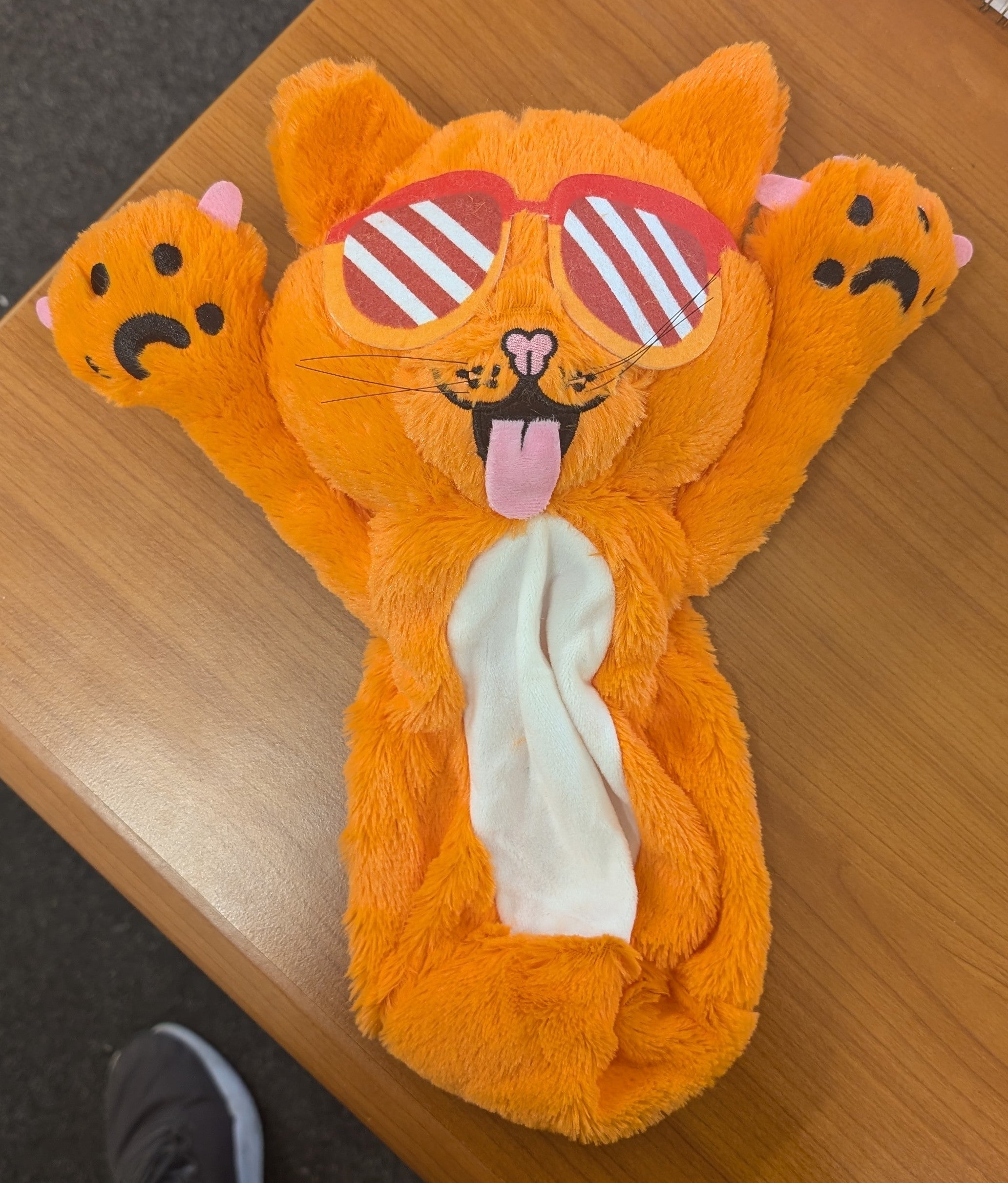 Crazy Cat - Teddy
